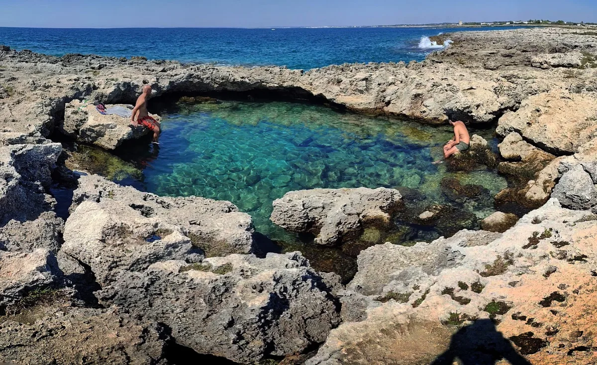 Biodiversità a Porto Cesareo: guida alle specie dell’Area Marina Protetta