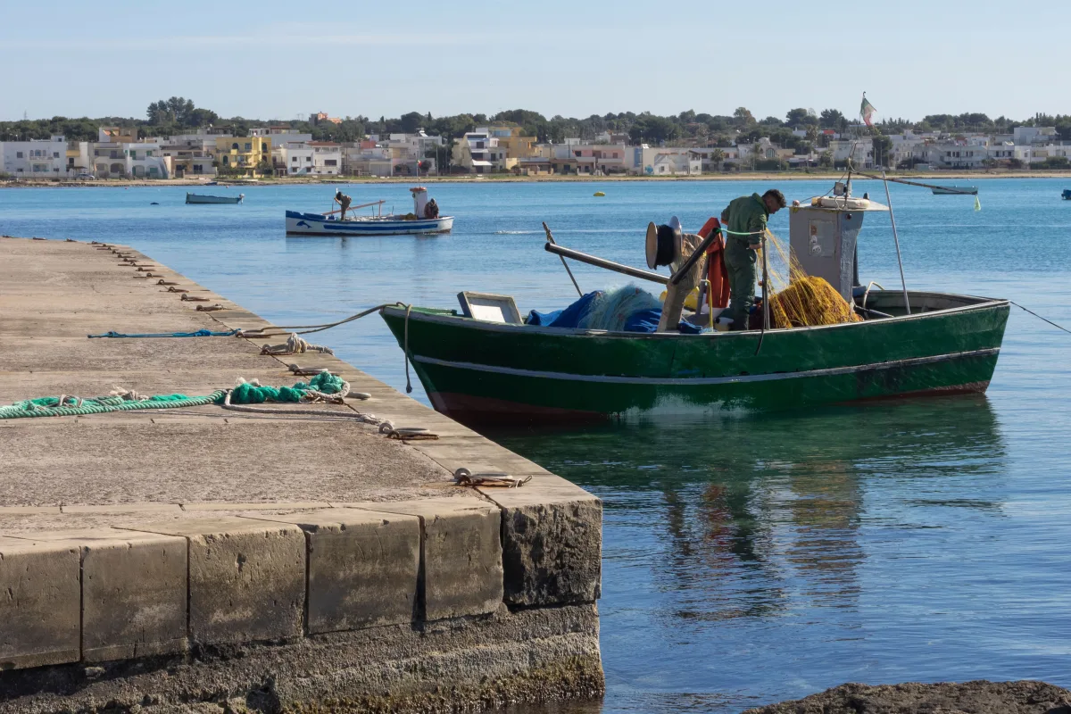 Dove mangiare a Porto Cesareo spendendo poco: guida 2026