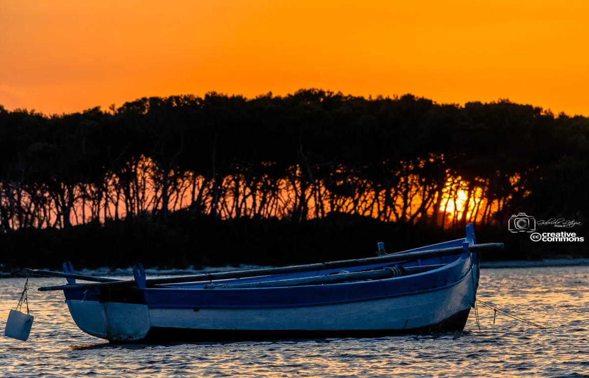 Dove mangiare pesce fresco a Porto Cesareo secondo i locali