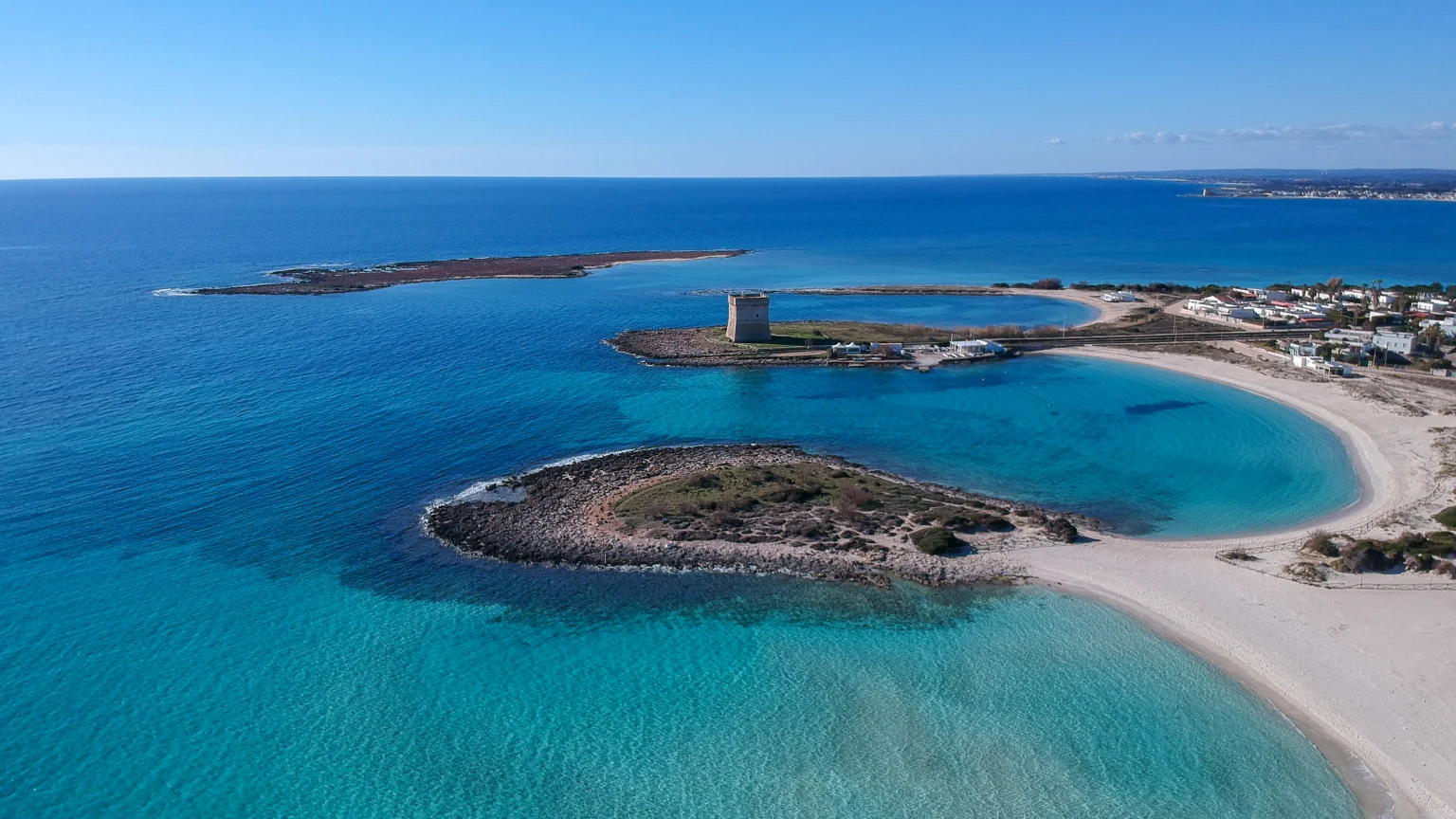 Porto Cesareo, sotto il mare l’Area Marina Protetta ha mappato oltre 15 habitat: Posidonia, coralligeno e grotte sommerse